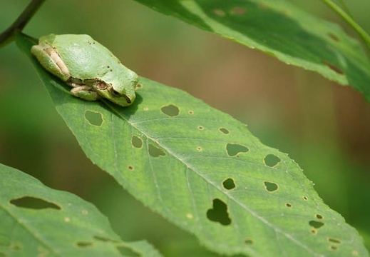 201106151130-DSC06037.jpg