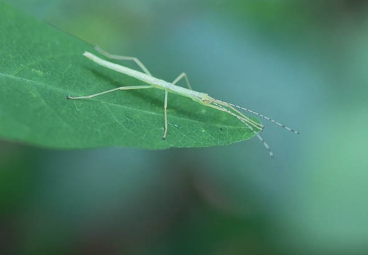 201106151247-DSC06159.jpg