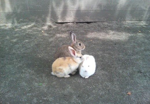 20110615132748-SO902i.jpg