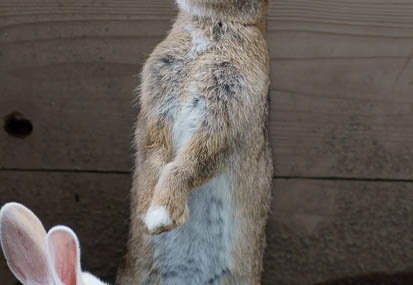 201106151340-DSC06304.jpg