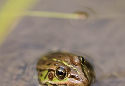 201106151414-DSC06405.jpg