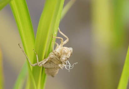 201106151432-DSC06470.jpg