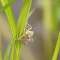 201106151432-DSC06470.jpg