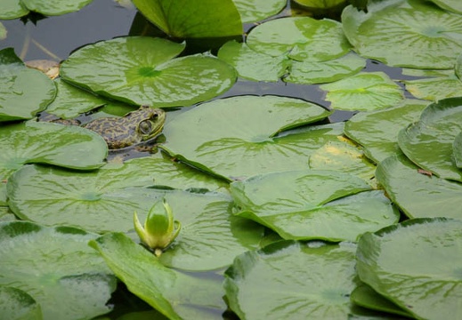 201106171536-DSC06695.jpg