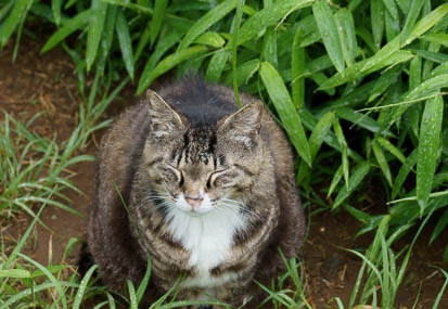 201106171552-DSC06735.jpg