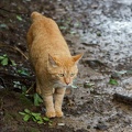201106171609-DSC06771.jpg