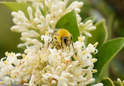 201106181033-DSC06822.jpg