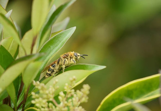 201106181037-DSC06883.jpg