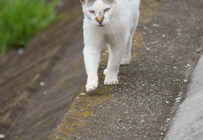 201106181243-DSC07142.jpg