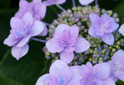 201106181254-DSC07169.jpg