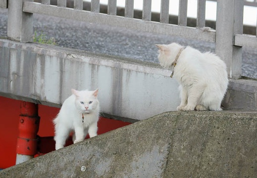 201106201447-DSC07517.jpg