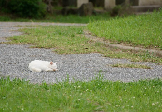 201106201525-DSC07689.jpg