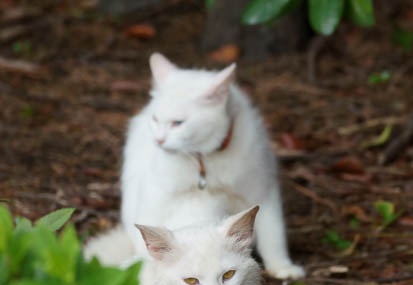 201106201533-DSC07726.jpg