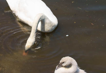201106221028-DSC00794.jpg