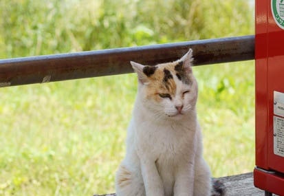201106221155-DSC00820.jpg
