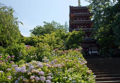 201106221416-DSC00833.jpg