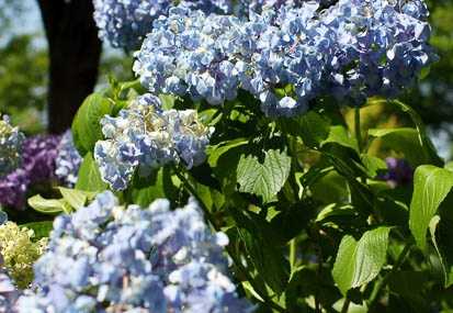 201106221438-DSC00866.jpg