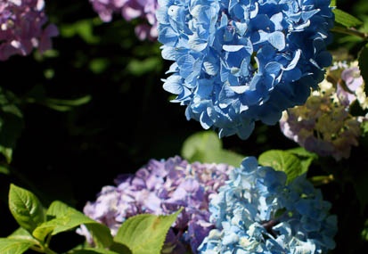 201106221438-DSC00867.jpg