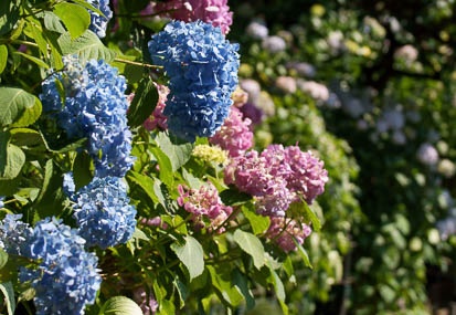 201106221455-DSC00904.jpg