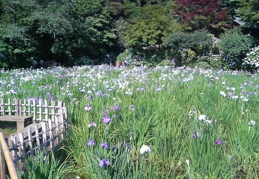 20110622150410-SO902i.jpg