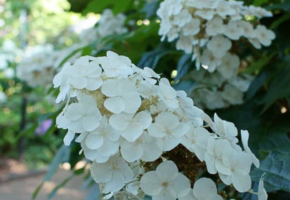 201106221550-DSC01020.jpg