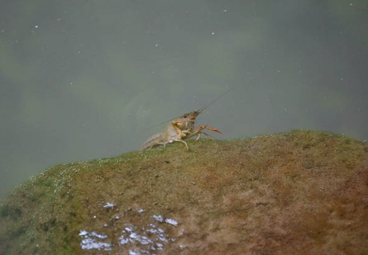 201106231353-DSC01276.jpg