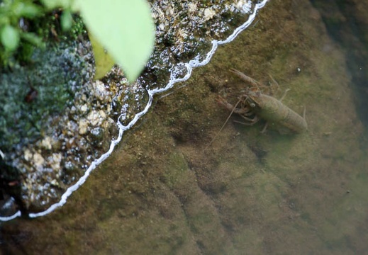 201106231356-DSC01289.jpg