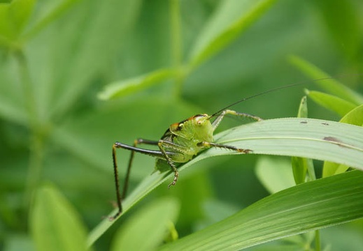 201106231404-DSC01340.jpg