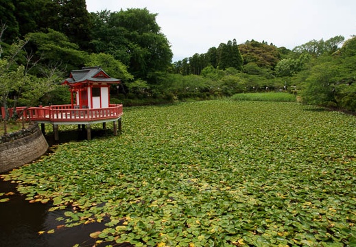 201106241215-DSC01612.jpg