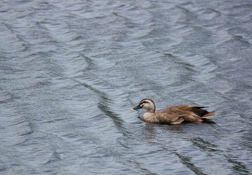 201106241221-DSC01626.jpg