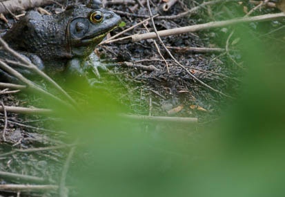201106241225-DSC01632.jpg
