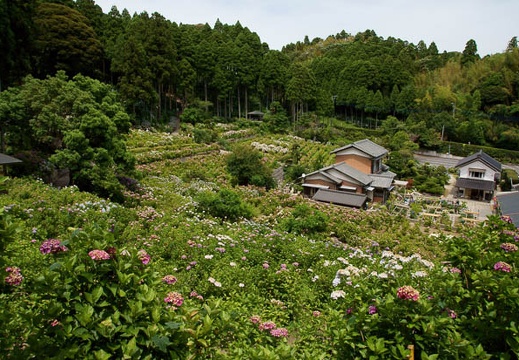 201106241253-DSC01640.jpg