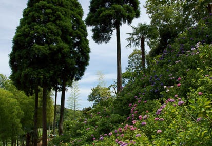 201106241253-DSC01643.jpg