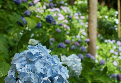 201106241310-DSC01685.jpg