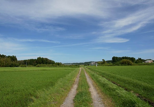 201106241442-DSC01897.jpg