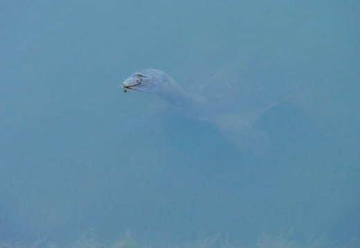 201107121810-DSC00363.jpg
