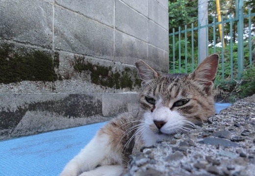201107121821-DSC00386.jpg