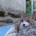 201107121821-DSC00386.jpg