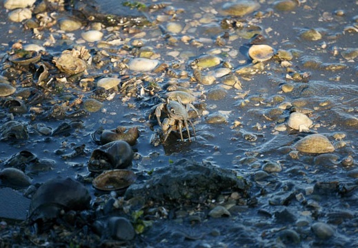 201107130619-DSC01294.jpg