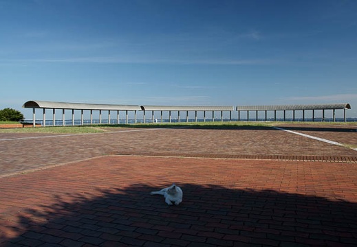 201107130710-DSC01374.jpg