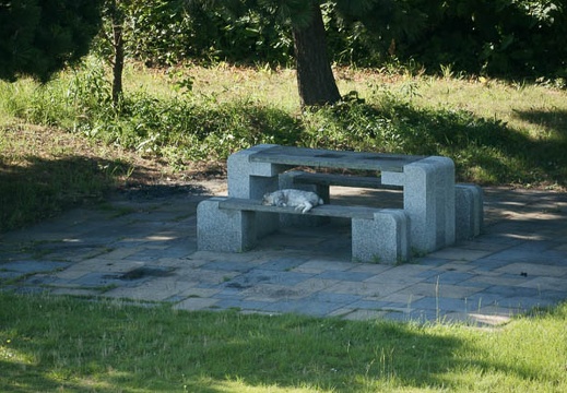 201107130724-DSC01421.jpg