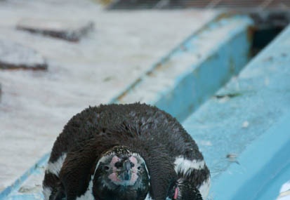 201107161604-DSC00155.jpg
