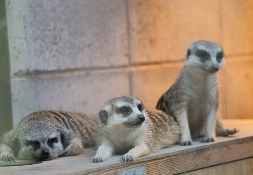 201107161612-DSC00166.jpg