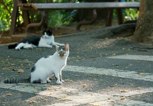 201107161640-DSC00229.jpg