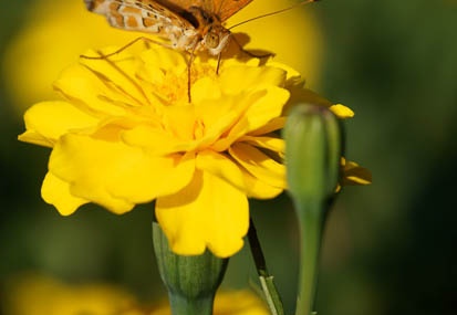 201107161655-DSC00272.jpg