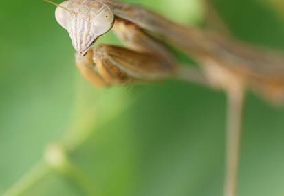 201107180628-DSC00376.jpg