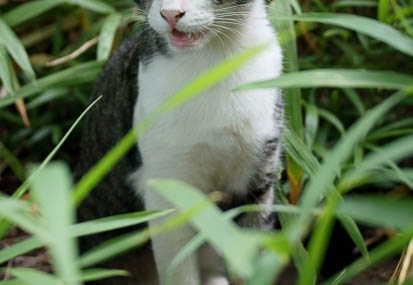 201107180748-DSC00665.jpg