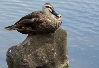 201107180839-DSC00849.jpg