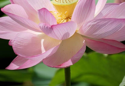 201107180843-DSC00854.jpg