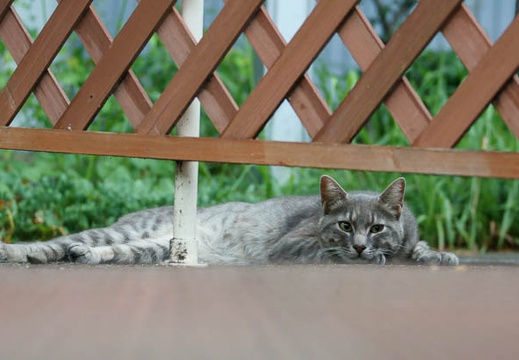 201107190644-DSC00891.jpg